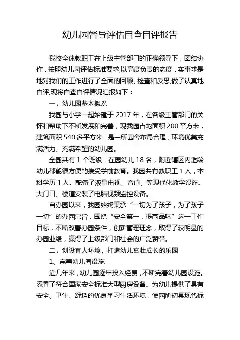 自评报告