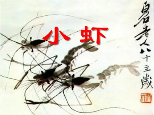 《小虾》PPT课件 (共10张PPT)