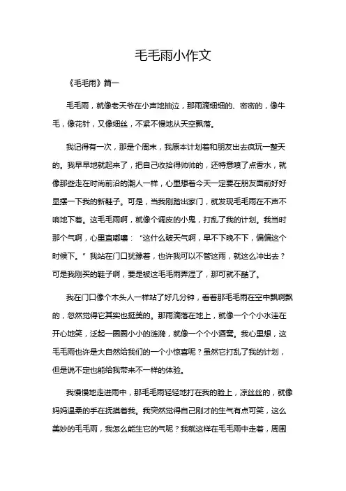 毛毛雨小作文