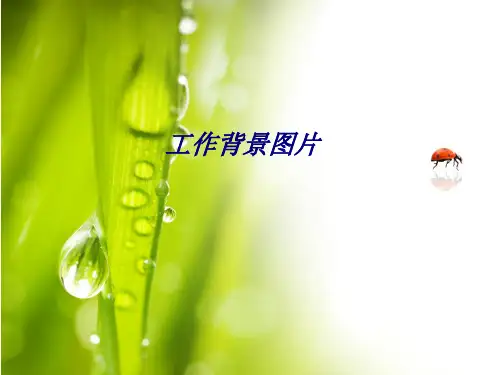工作背景图片专题培训课件