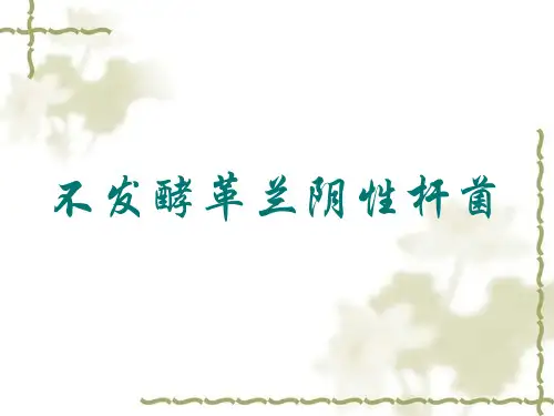 非发酵菌(wmy)