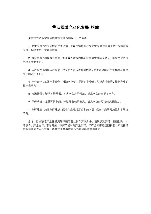 重点领域产业化发展 措施