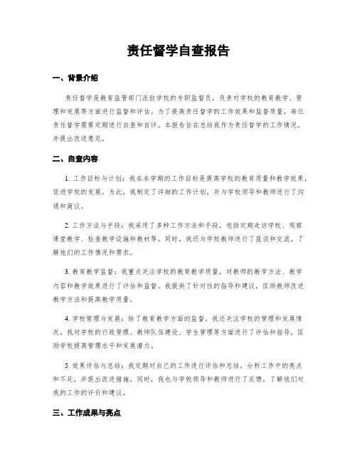 责任督学自查报告