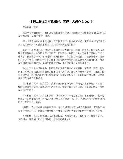 【初二作文】有你相伴,真好  思想作文700字