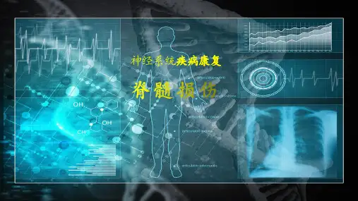 脊髓损伤康复治疗培训课件