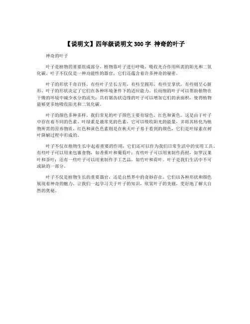 【说明文】四年级说明文300字 神奇的叶子