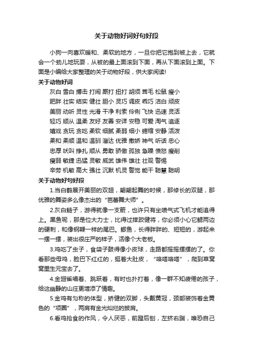 关于动物好词好句好段