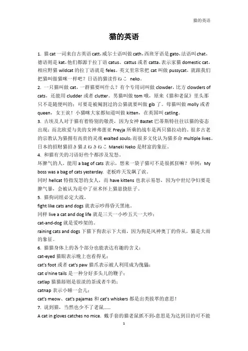 少儿英语-猫的英语