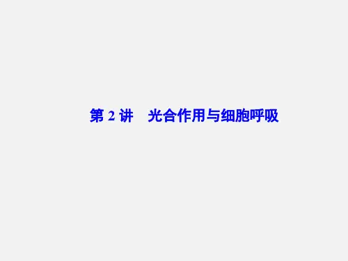 高考生物 二轮复习 专题2 第2讲 光合作用与细胞呼吸