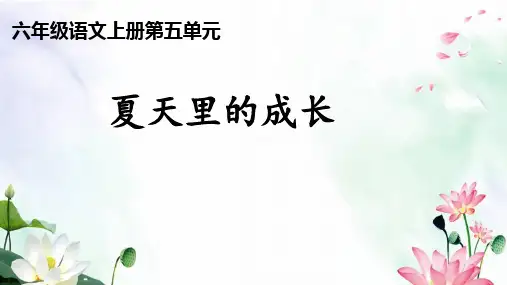 第16课《夏天里的成长》课件(共14张PPT).ppt