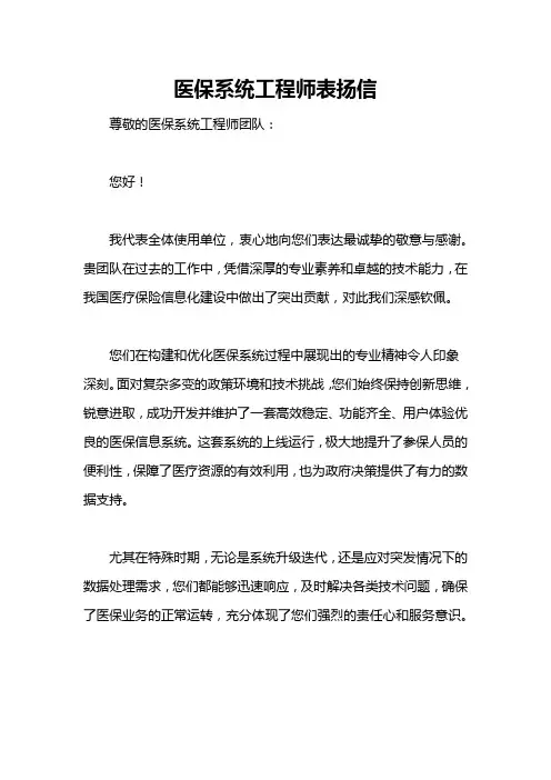 医保系统工程师表扬信