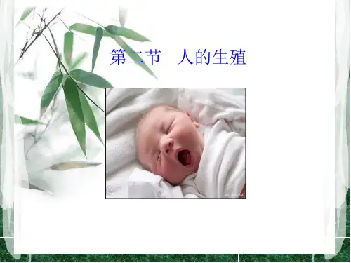 新人教版生物七年级下册课件： 人的生殖(共25张PPT)