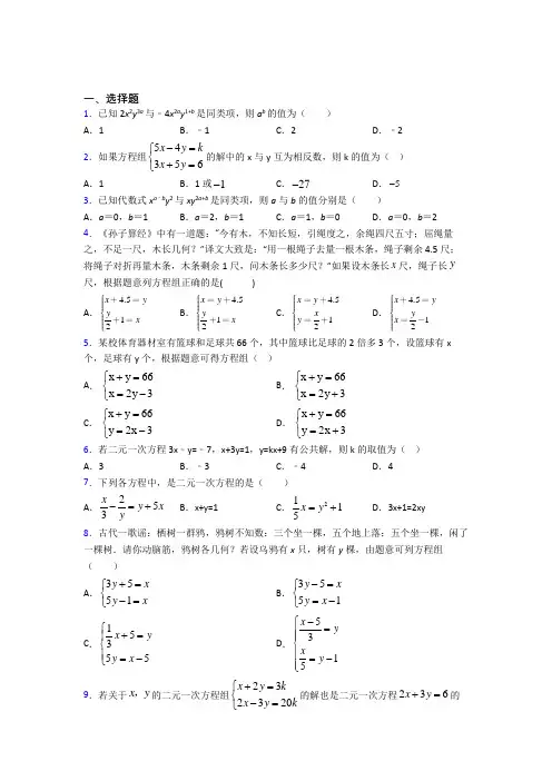 人教版初中数学七年级数学下册第四单元《二元一次方程组》检测(答案解析)