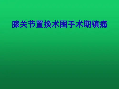 膝关节置换术围手术期镇痛