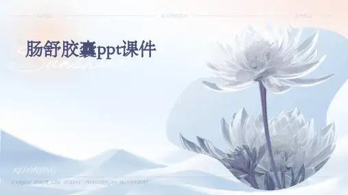 肠舒胶囊PPT课件