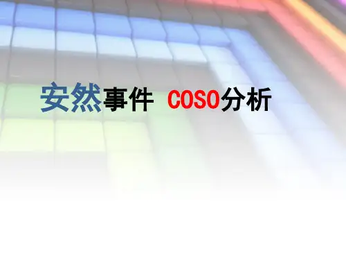 安然事件 COSO分析