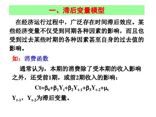 七章节滞后变量模型