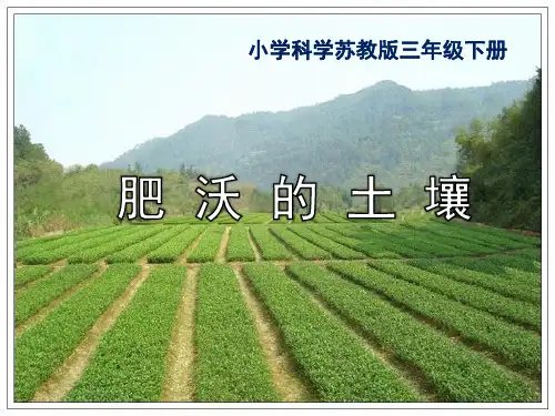 三年级下册科学课件-1.3肥沃的土壤 ｜苏教版  (共12张PPT)
