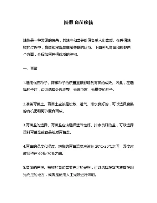 辣椒 育苗移栽