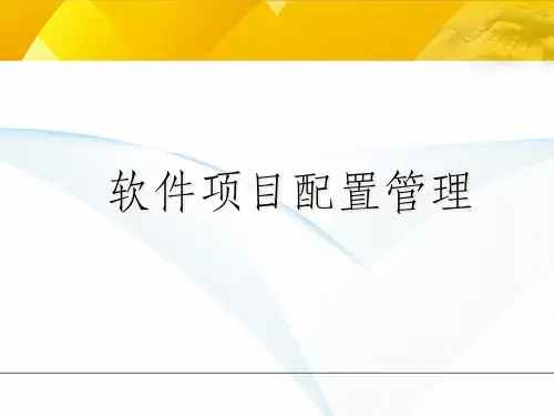 软件项目配置管理
