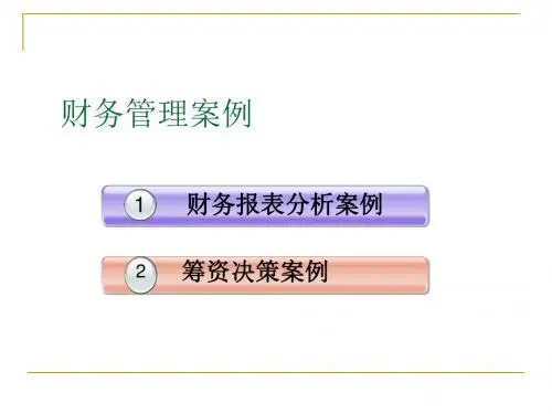 财务管理及财务知识分析案例(ppt34张)
