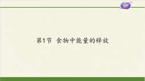 七年级生物下册课件-4.10.1 食物中能量的释放10-北师大版
