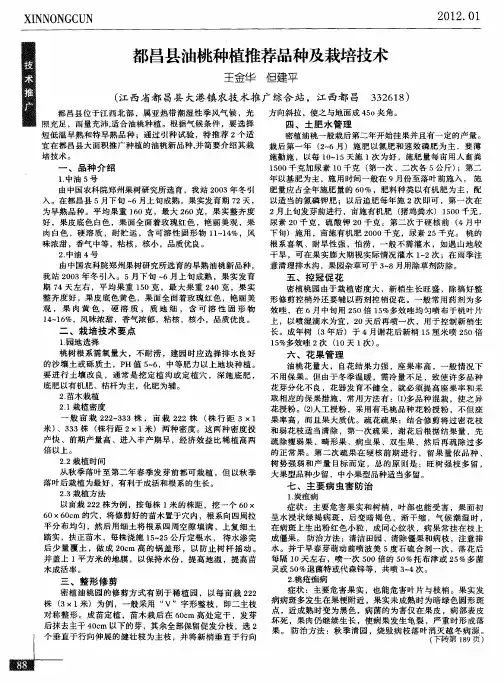都昌县油桃种植推荐品种及栽培技术