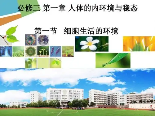 人教版高中生物必修3第一章细胞生活的环境课件47张共47张PPT