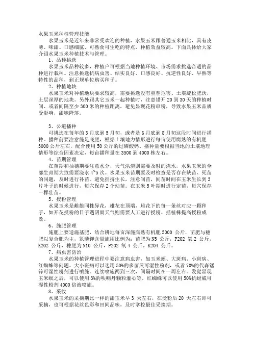 水果玉米种植管理技巧