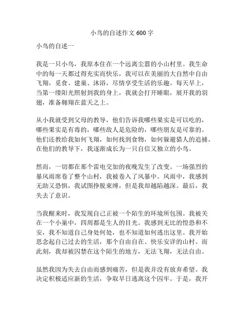 小鸟的自述作文600字