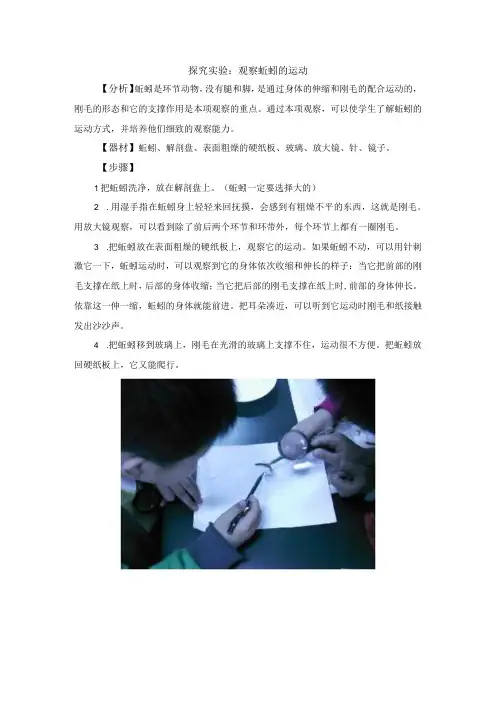 探究实验：观察蚯蚓的运动