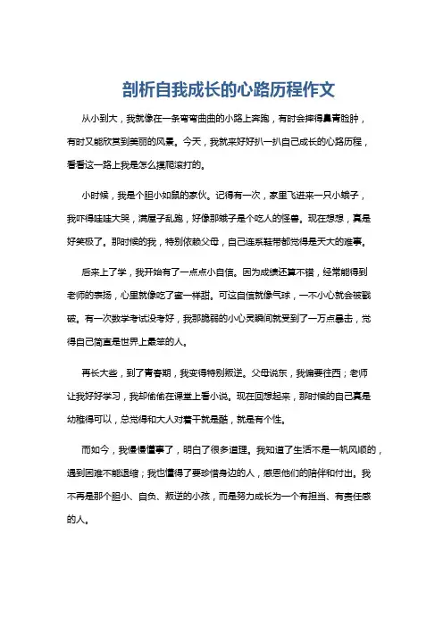 剖析自我成长的心路历程作文