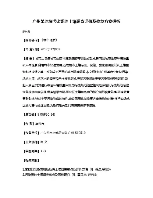 广州某地块污染场地土壤调查评价及修复方案探析