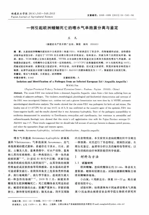 一例引起欧洲鳗鲡死亡的嗜水气单胞菌分离与鉴定