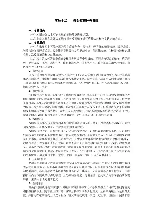 实验十二弹头痕迹种类识别