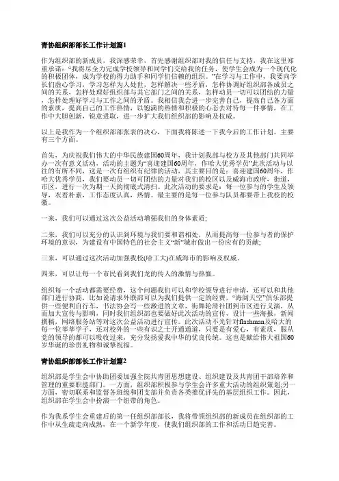 青协组织部部长工作计划7篇