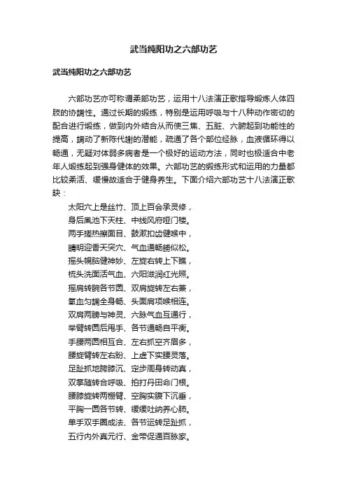 武当纯阳功之六部功艺
