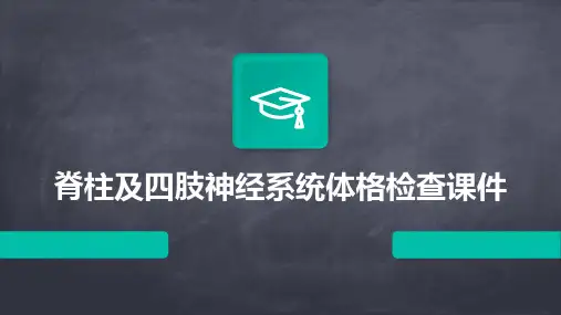 脊柱及四肢神经系统体格检查课件