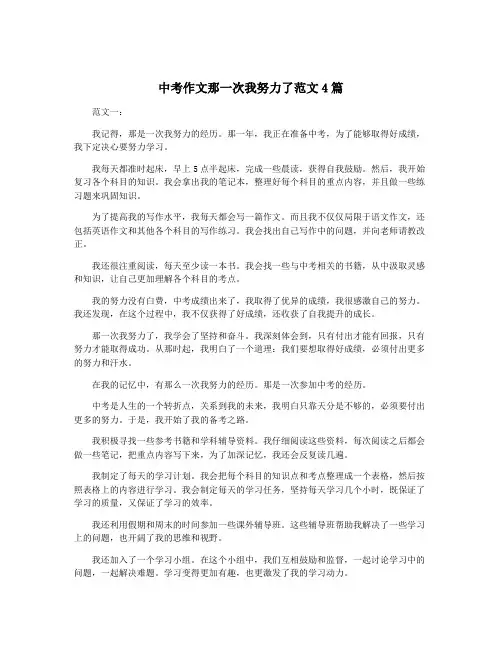 中考作文那一次我努力了范文4篇