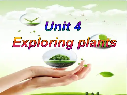 人教版高中英语选修9课件：Unit 4 Exploring plants Language points(共41张PPT)