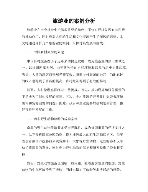 旅游业的案例分析