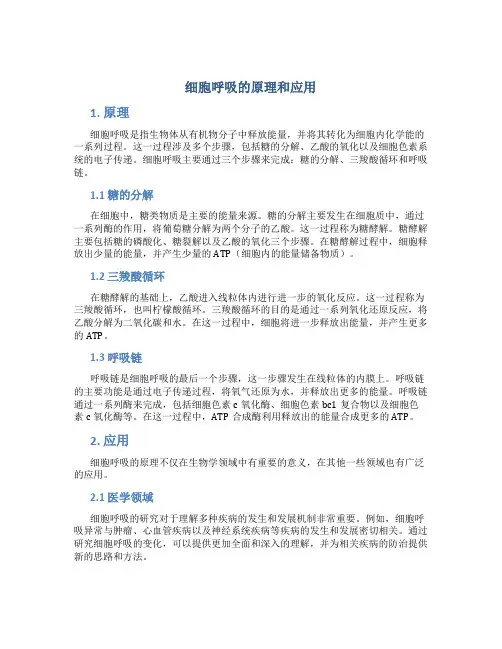 细胞呼吸的原理和应用是什么