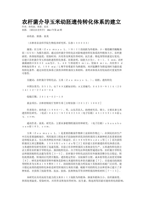 农杆菌介导玉米幼胚遗传转化体系的建立