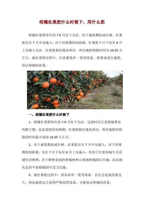 柑橘壮果肥什么时候下,用什么肥