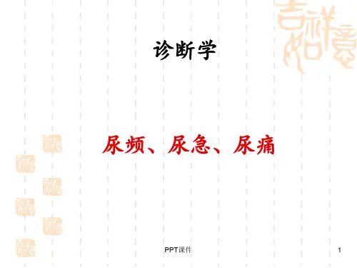 尿频尿急尿痛  ppt课件