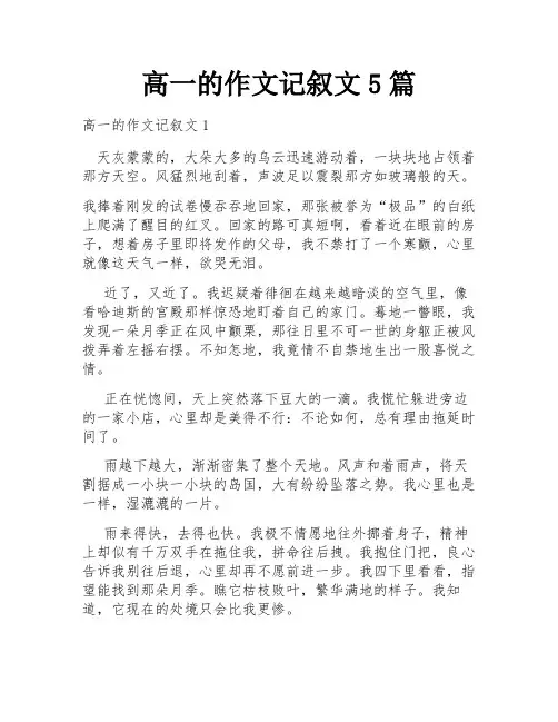高一的作文记叙文5篇