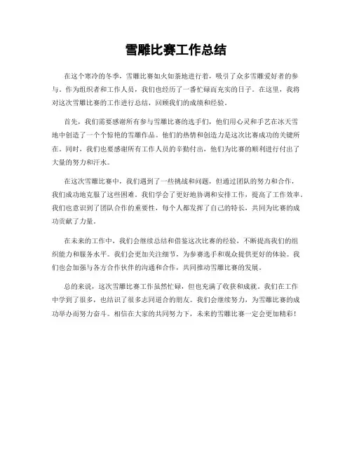 雪雕比赛工作总结