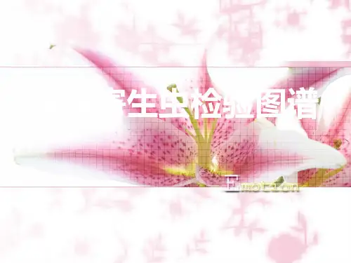临床寄生虫检验图谱