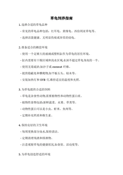 草龟饲养指南