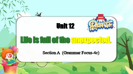 Unit 12  (Grammar Focus-4c)(课件)九年级英语全一册(人教新目标)